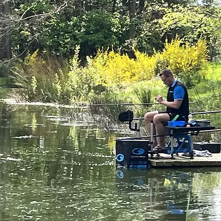 Cedar Boutique Lodge-dog Fishing And Access York