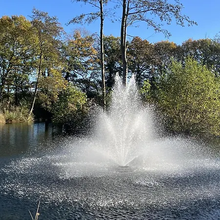 Cedar Boutique Lodge-dog Fishing And Access * York