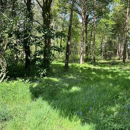 Cedar Boutique Lodge-dog Fishing And Access Holiday home *