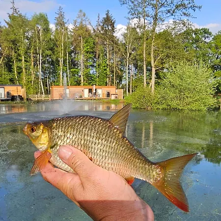 Casa de Férias Cedar Boutique Lodge-dog Fishing And Access York